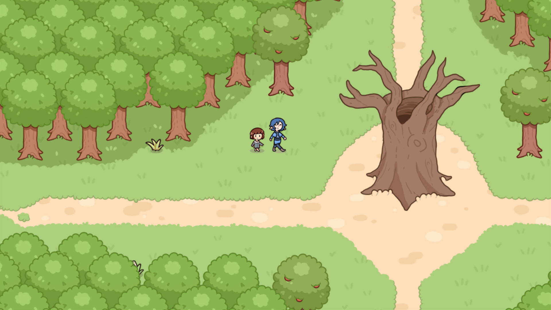 Kota`s New Journey screenshot 5