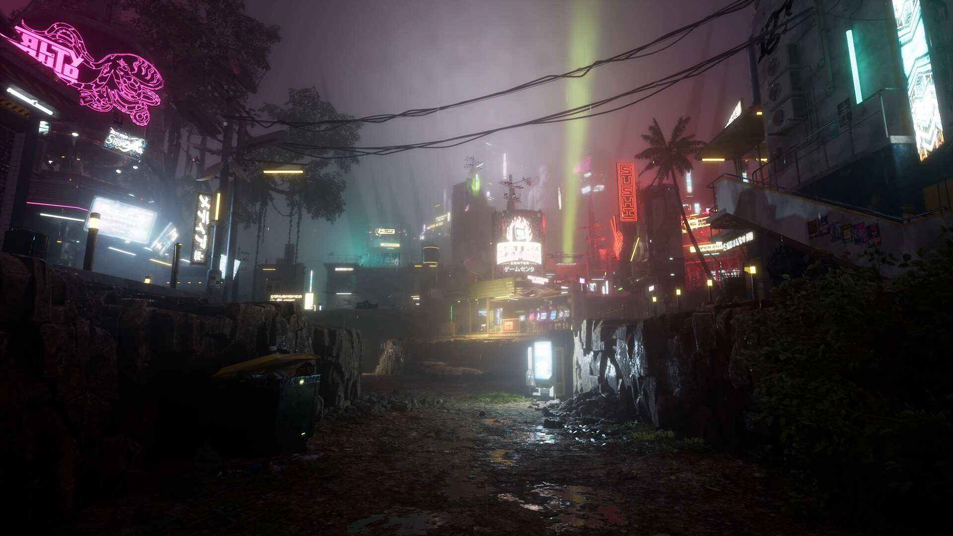 Drizzlepath: Picturae screenshot 4