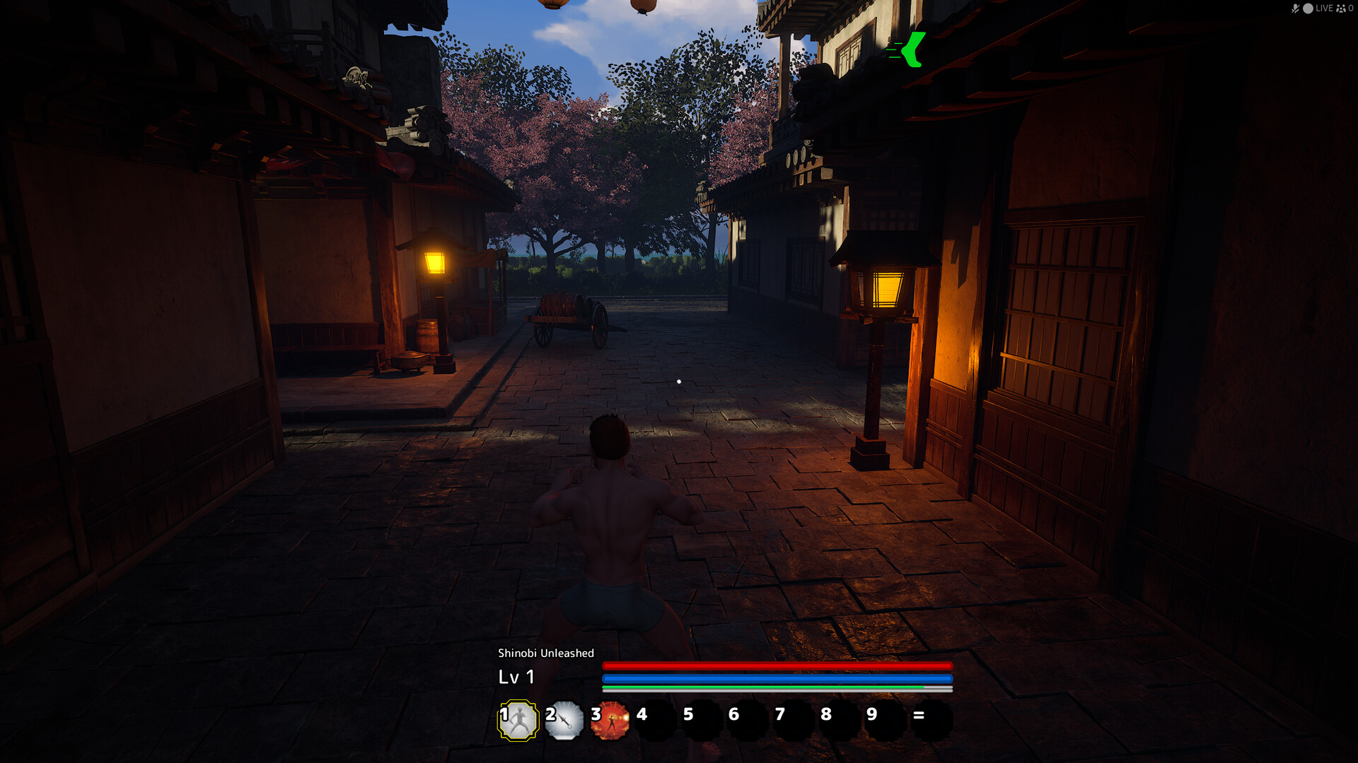 Shinobi Unleashed screenshot 4
