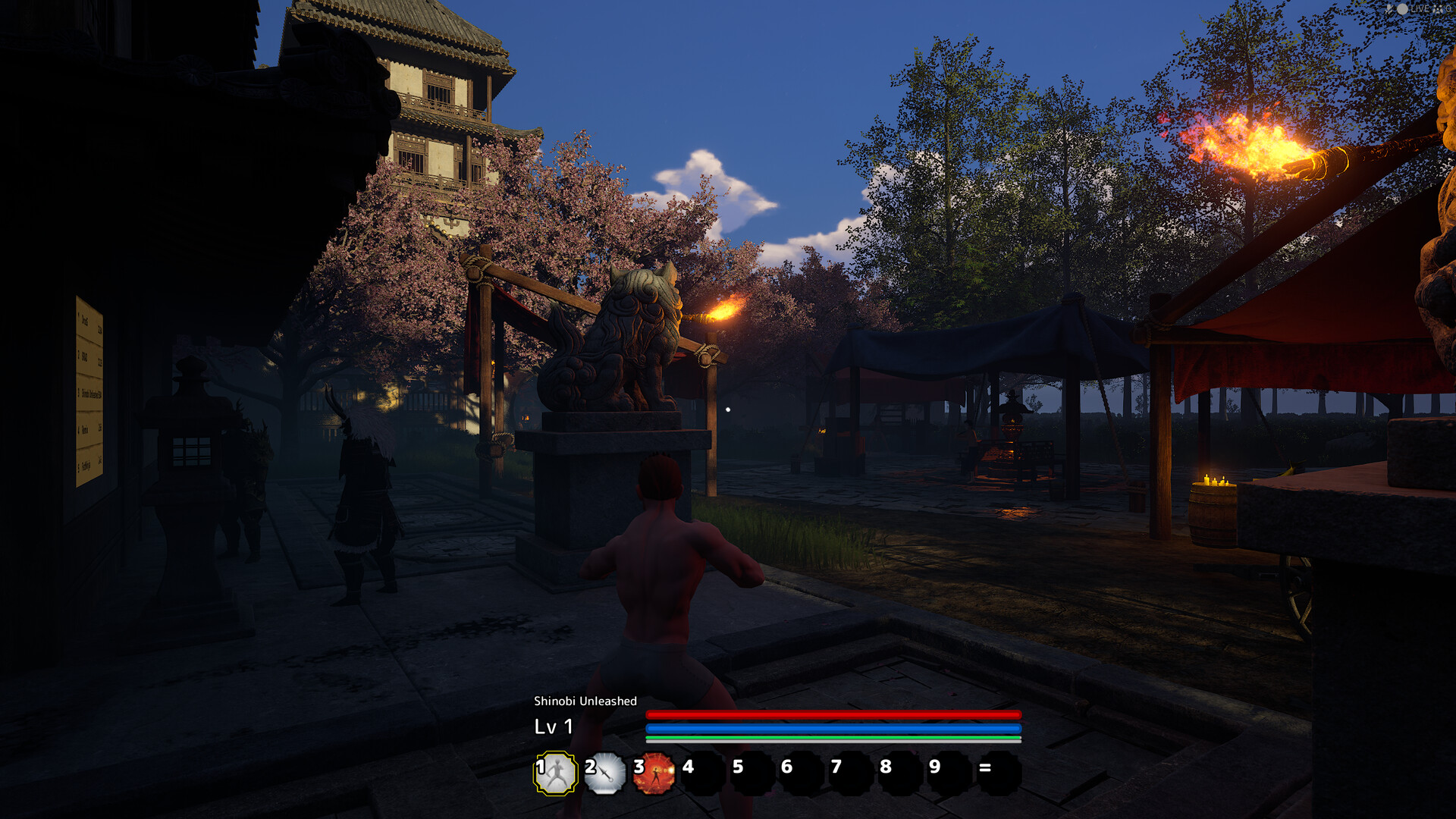 Shinobi Unleashed screenshot 2