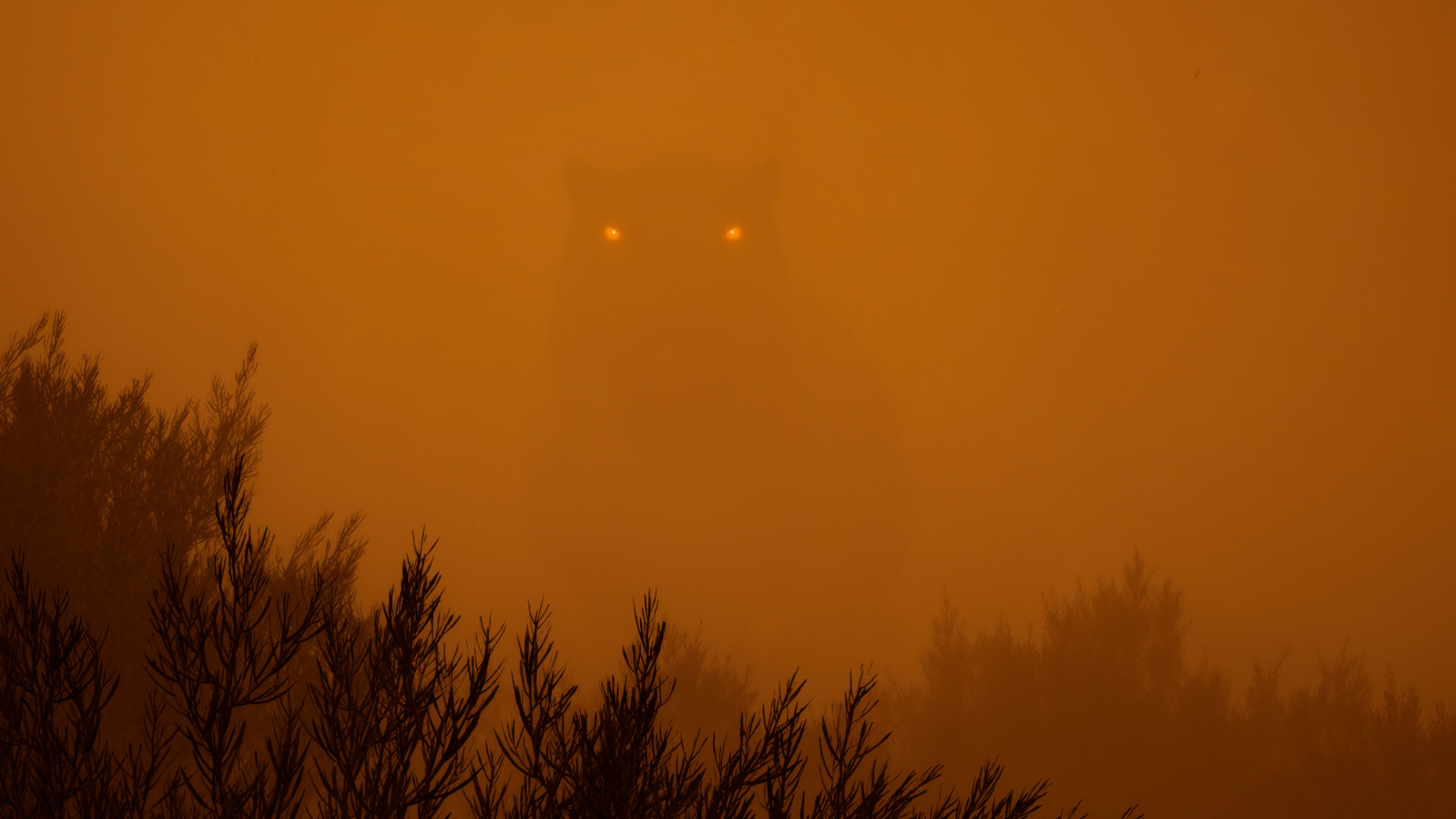 The Time Forgotten screenshot 1