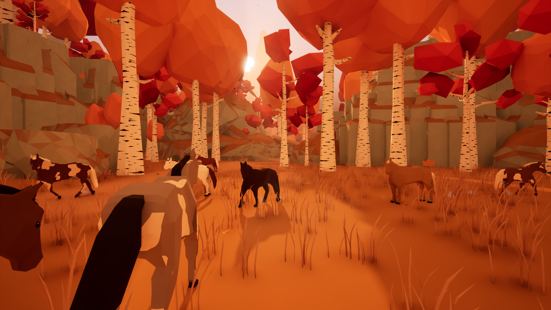 Ryder screenshot 4