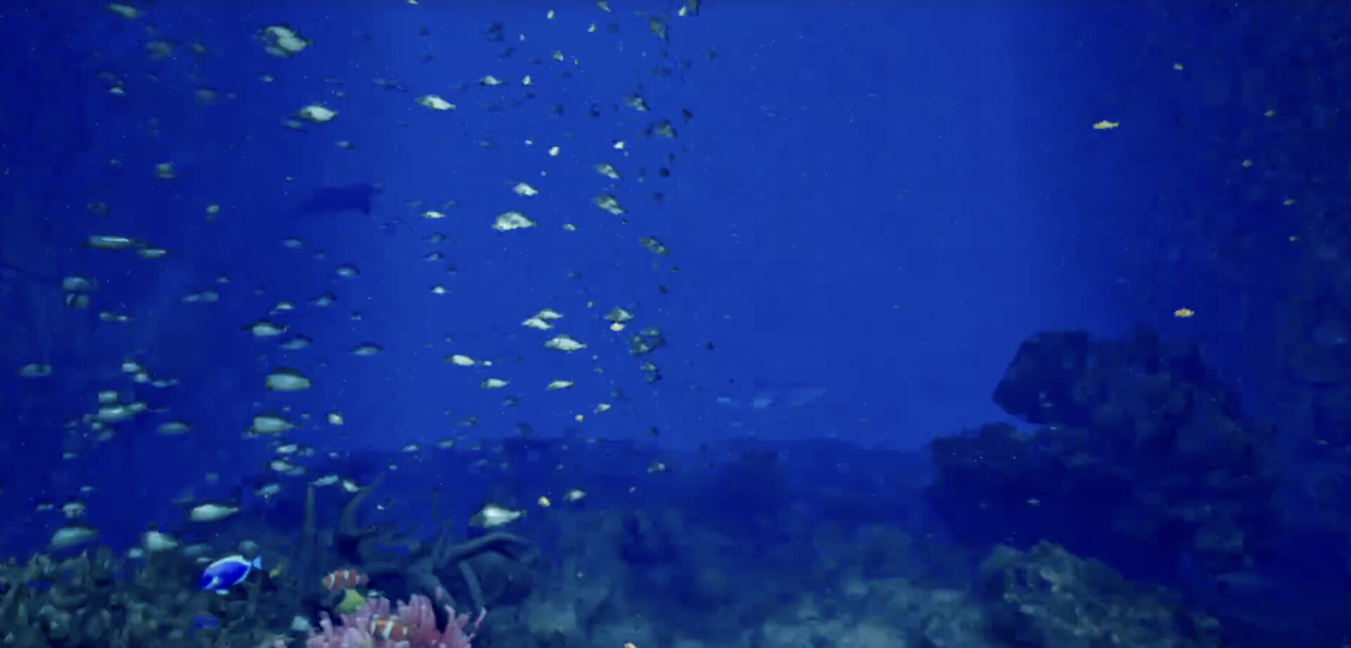 Aquarium at August 32nd VR screenshot 4