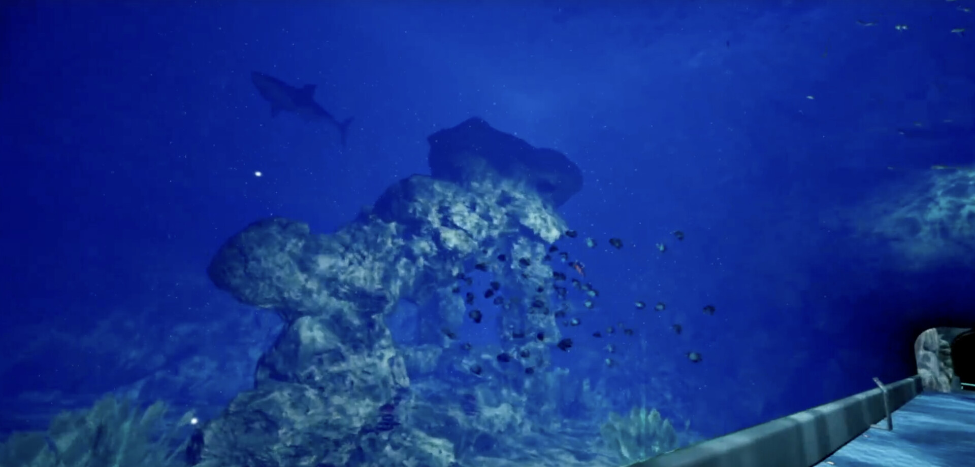 Aquarium at August 32nd VR screenshot 5