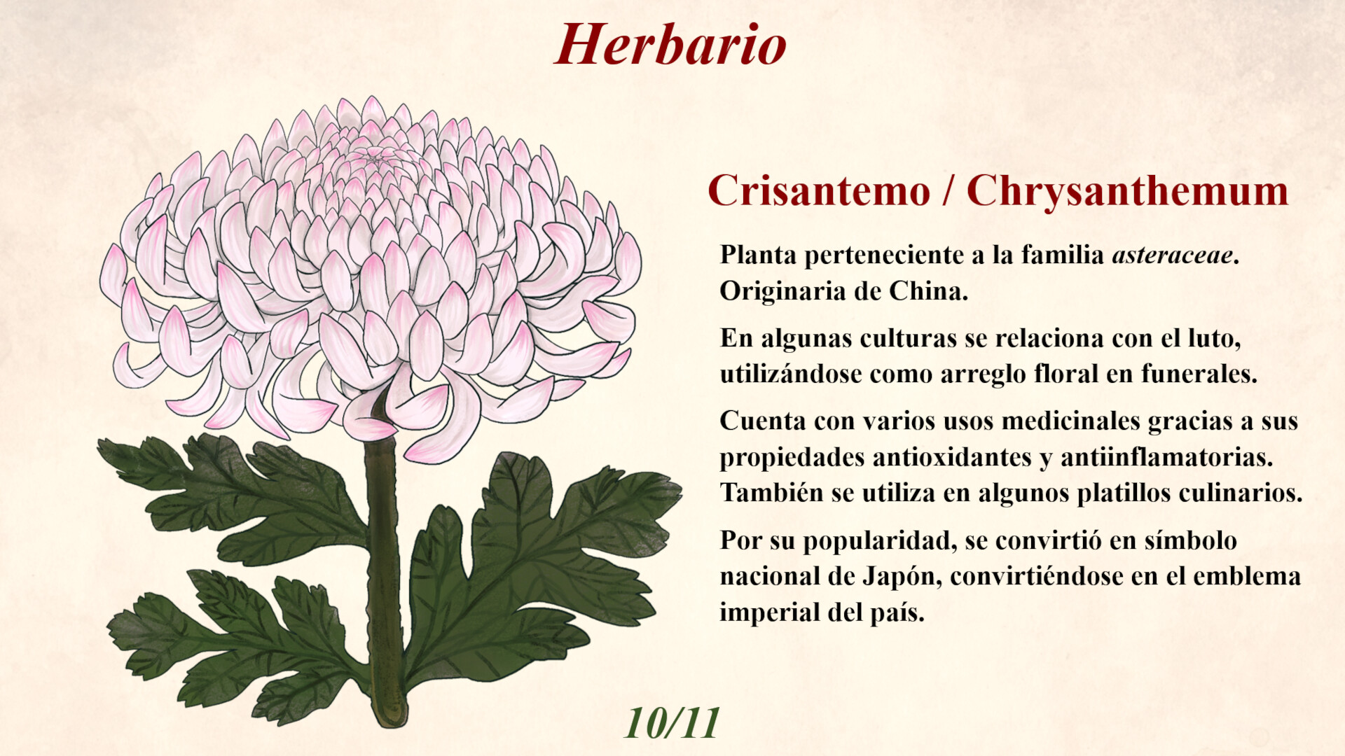 Blumenia - Historias de un Mundo de Plantas screenshot 6