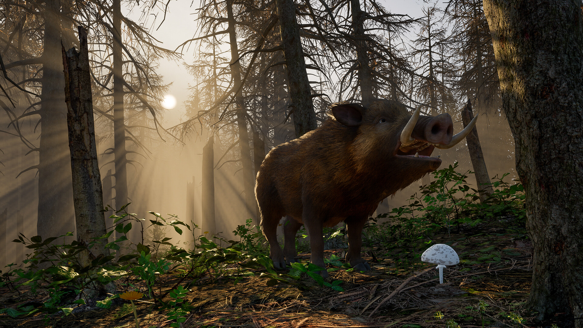 Wild Terrain screenshot 4