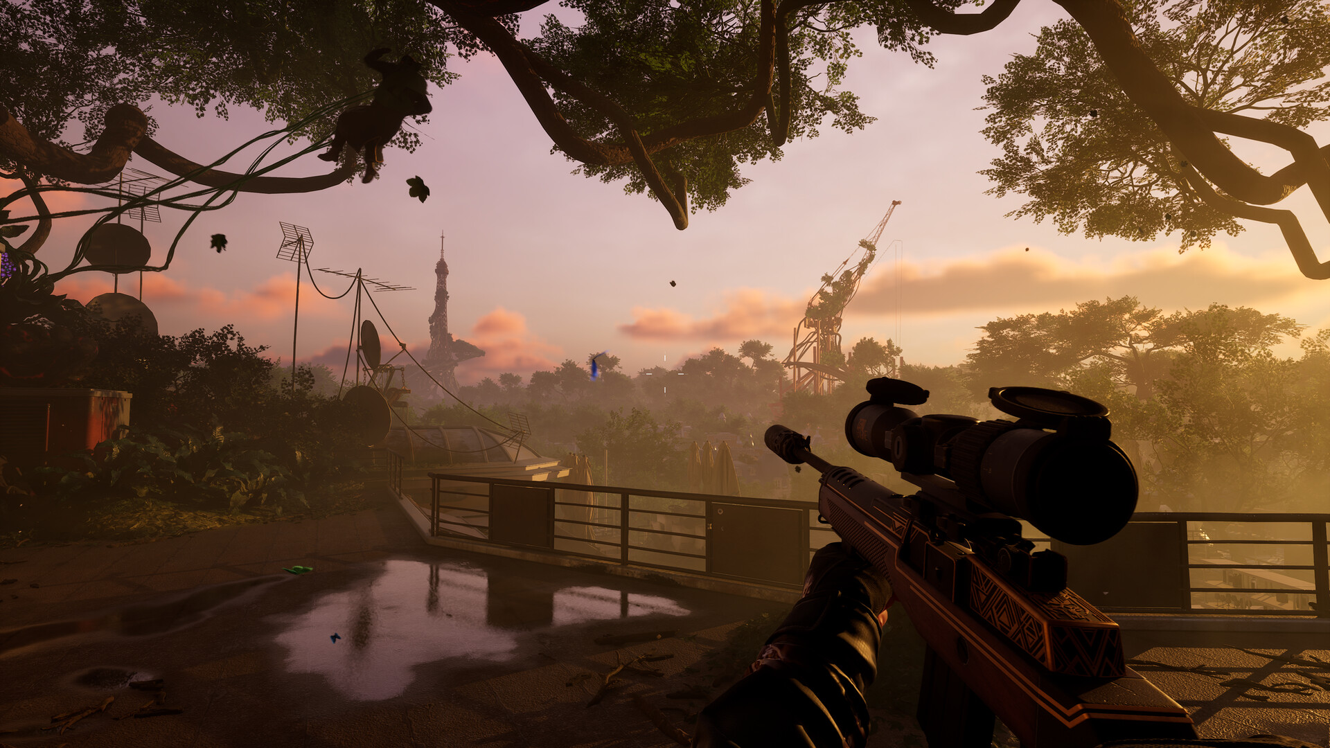 Forest Reigns screenshot 1