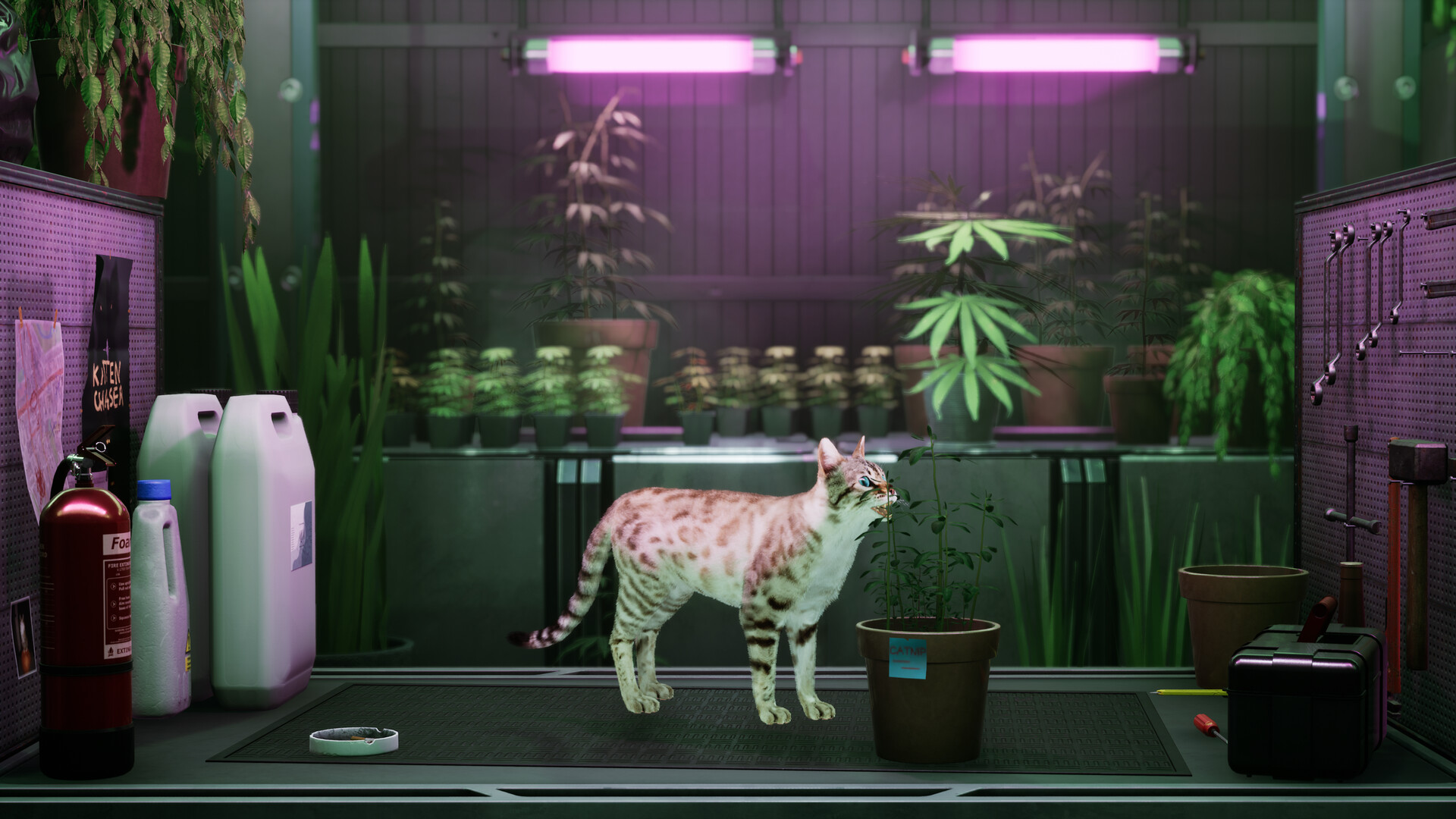 Catfall screenshot 1