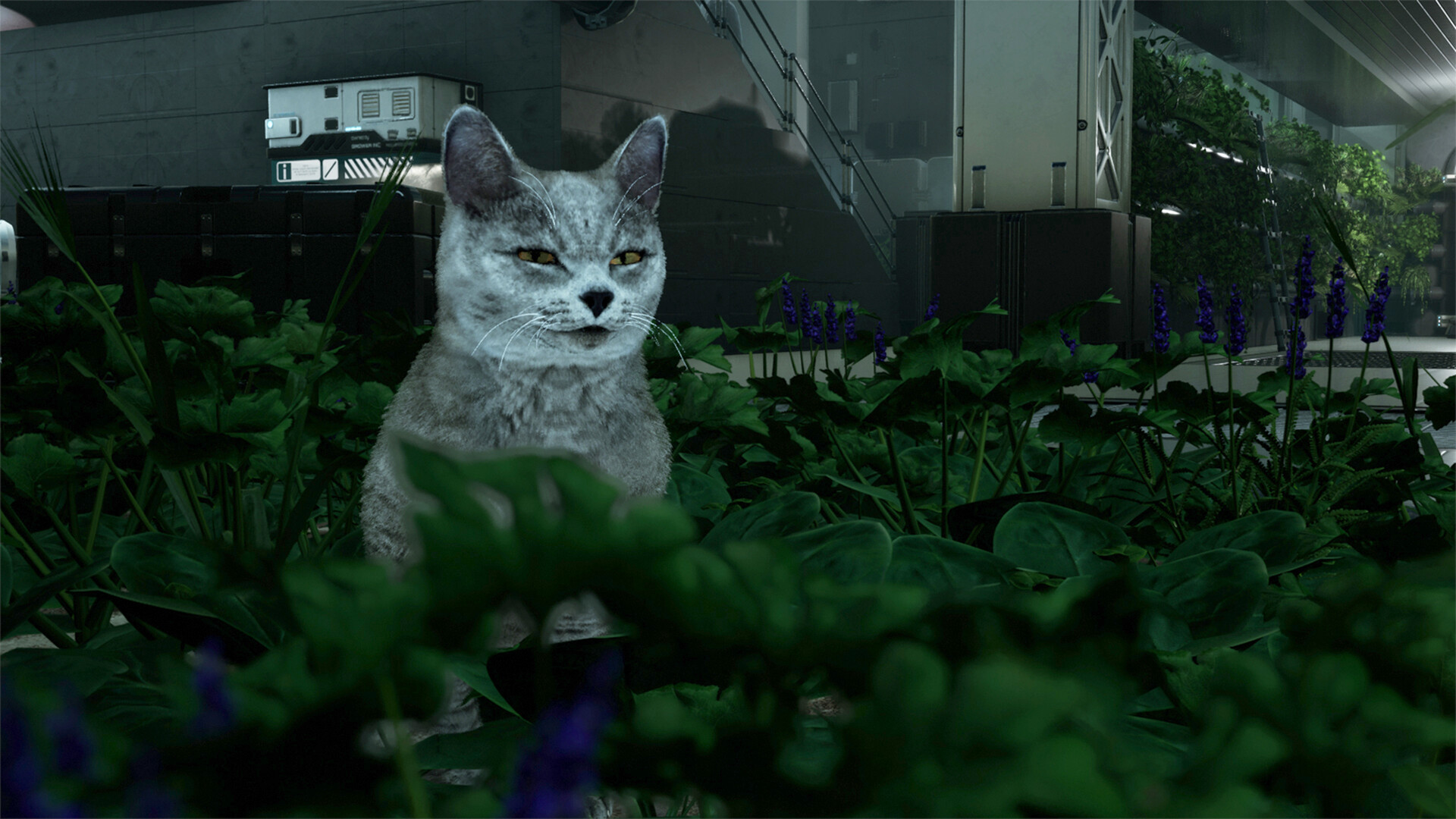 Catfall screenshot 5
