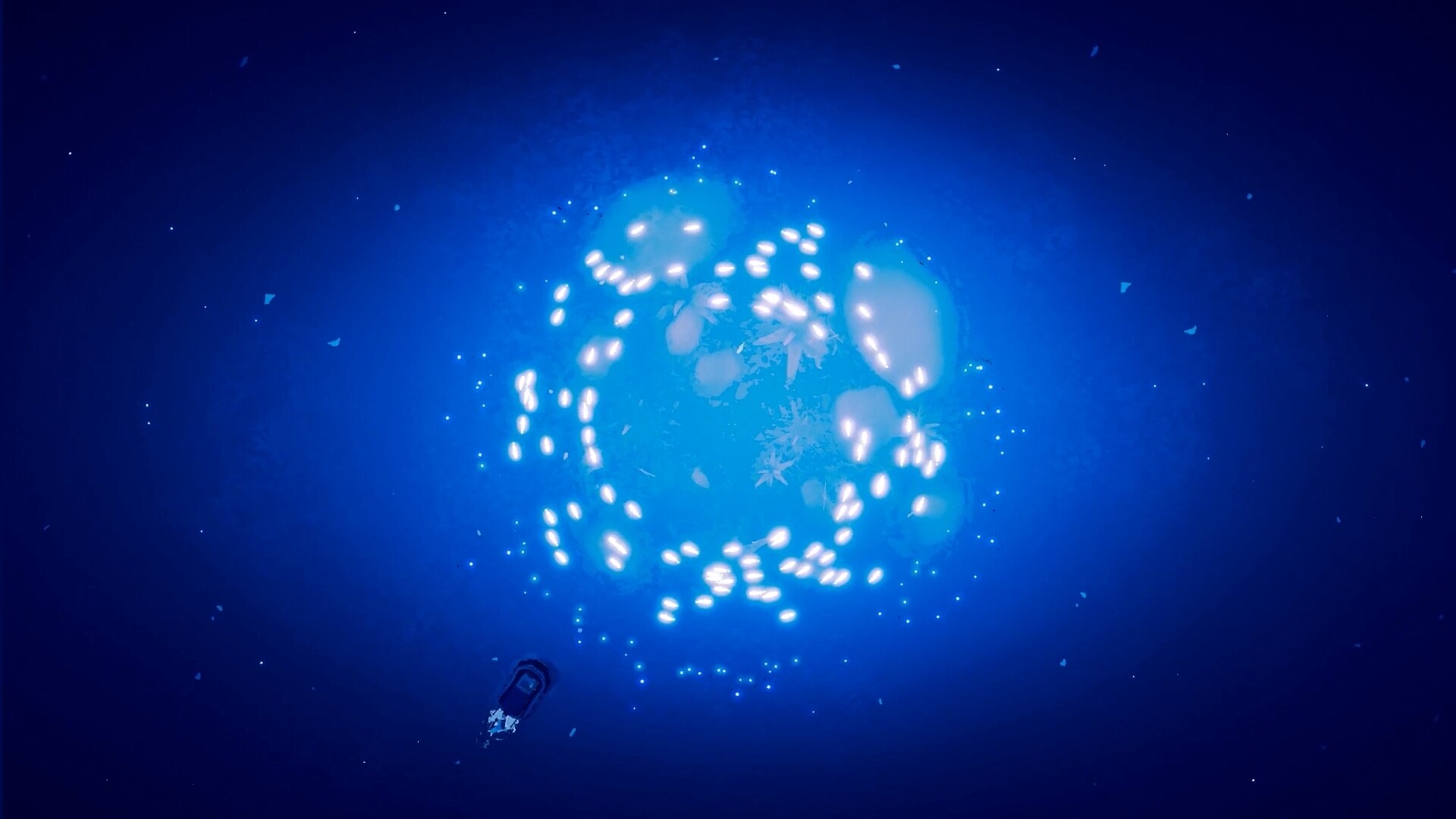 Shippin screenshot 2