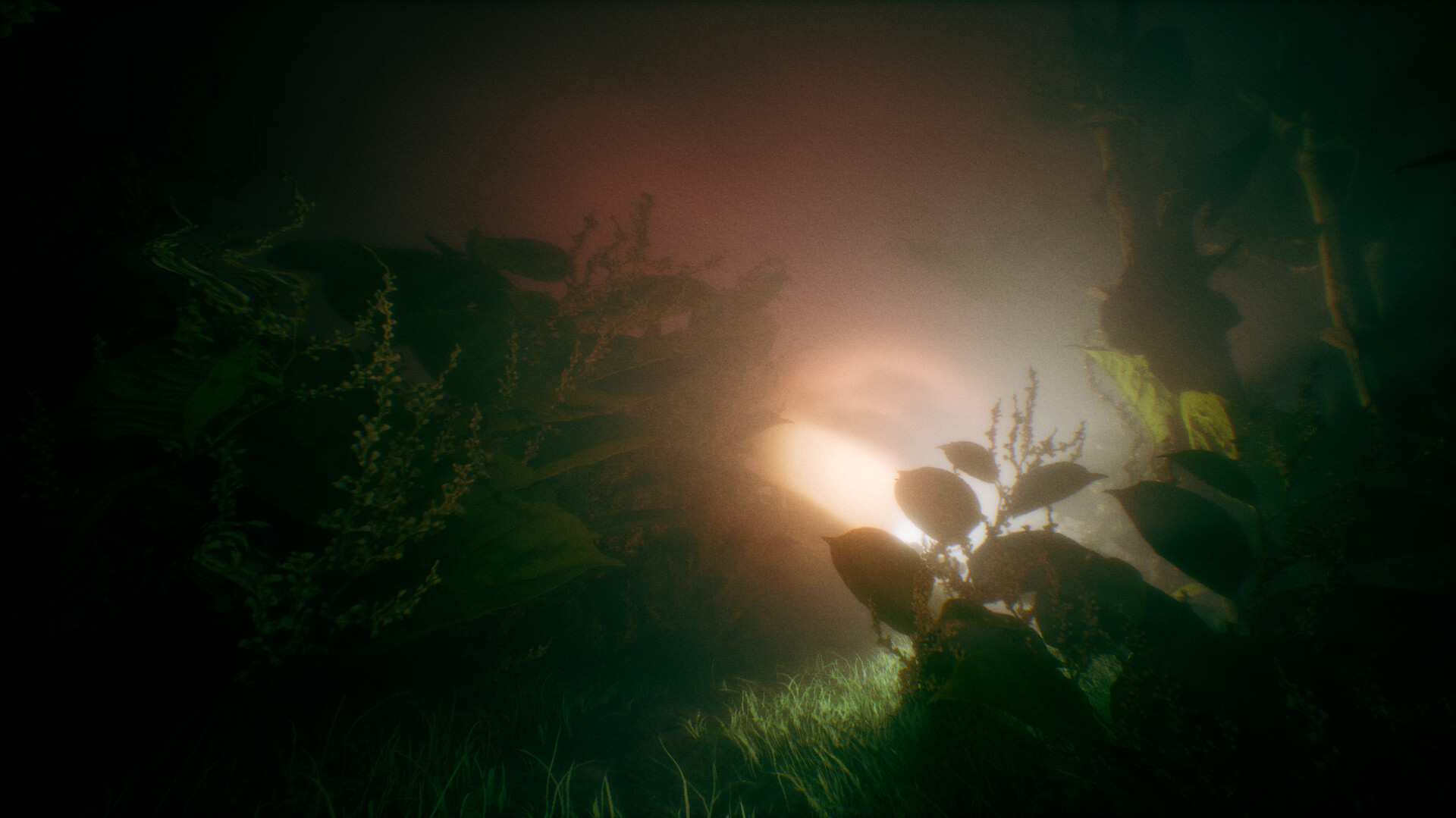 Benign Land screenshot 3