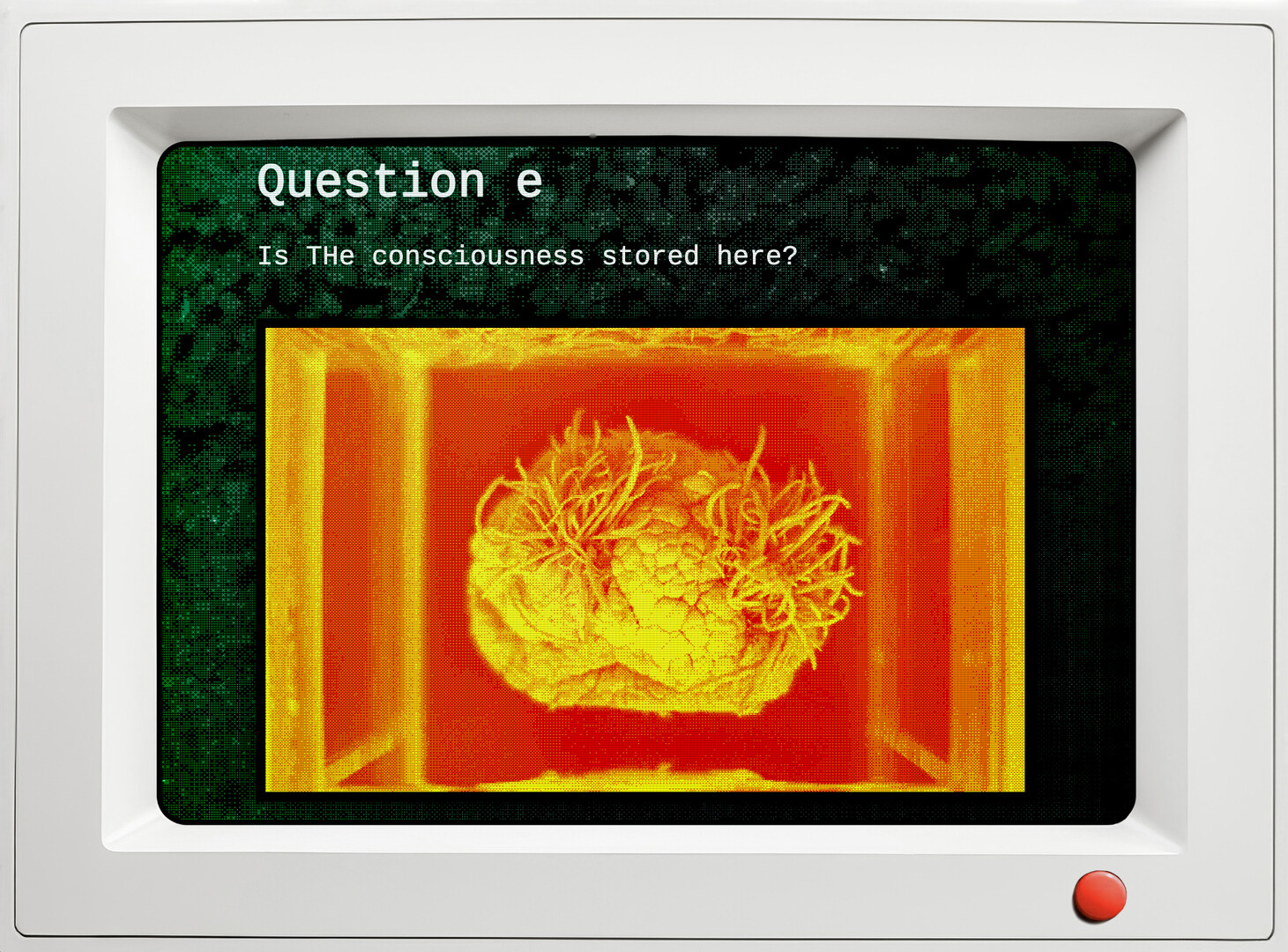 qualia screenshot 4