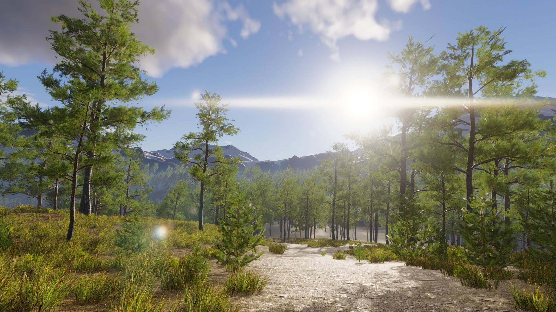 Forest Tower screenshot 4