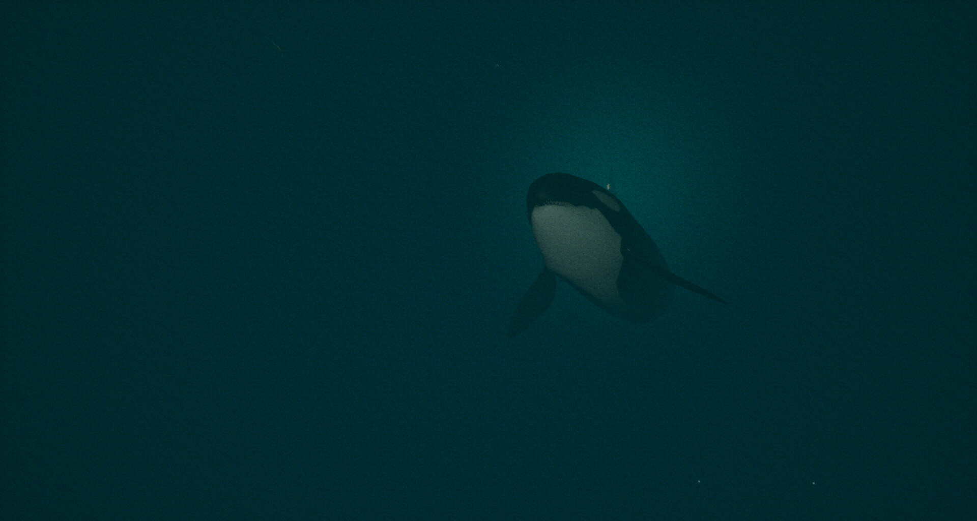 Dark of the Depths screenshot 3