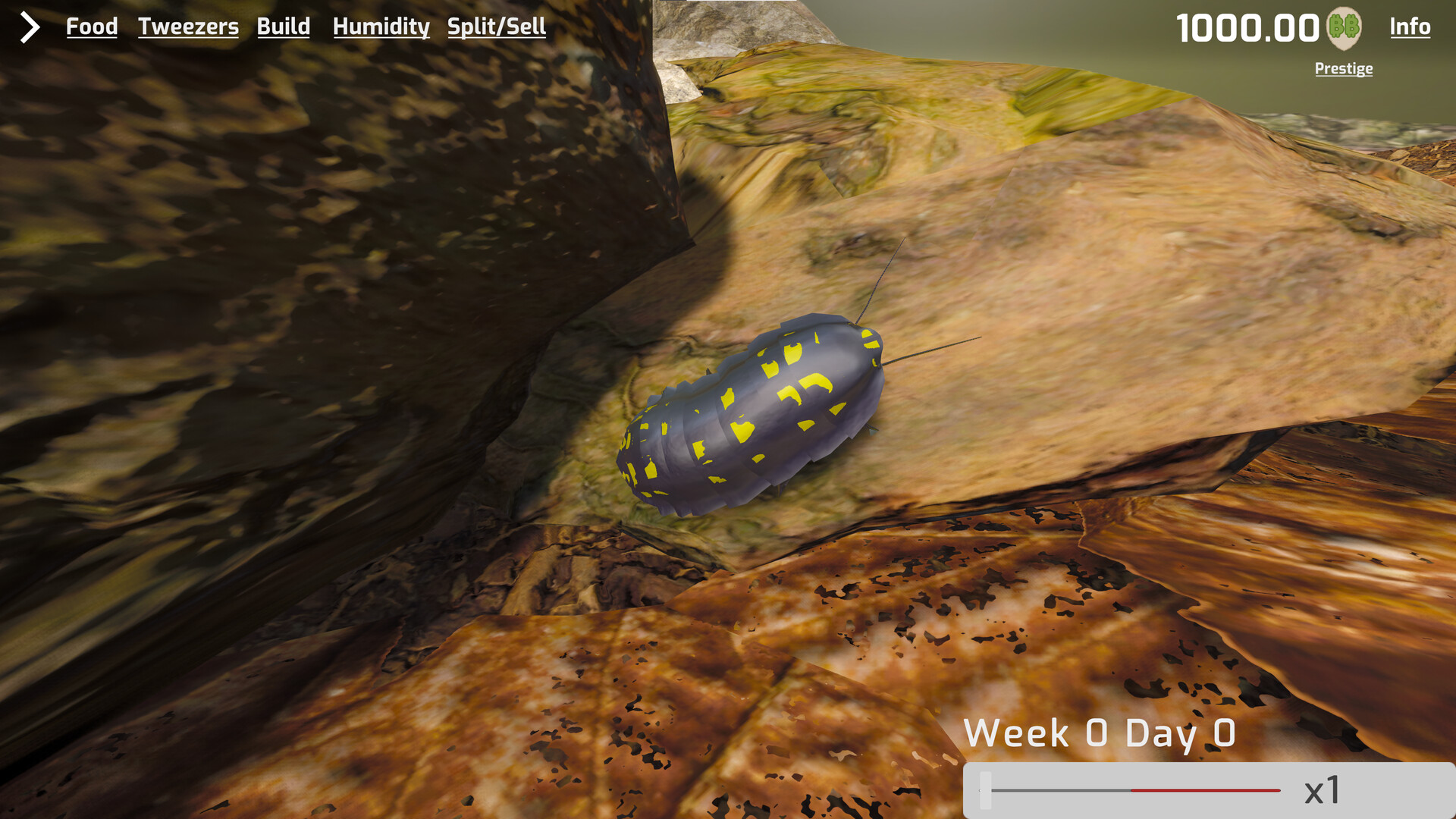 Isopod Keeping Simulator screenshot 1