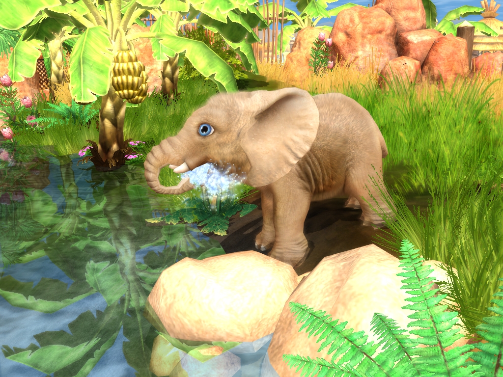 Wildlife Camp screenshot 2