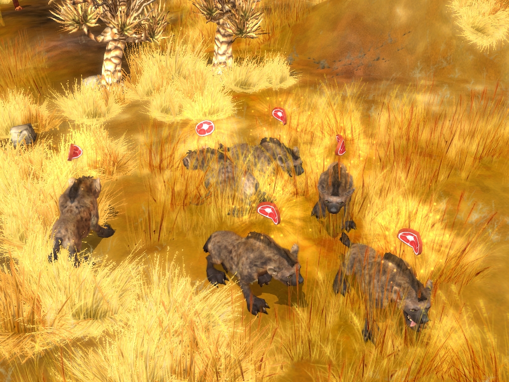 Wildlife Camp screenshot 22