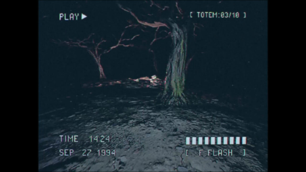 Lost Footage : Sound In The Silence screenshot 3