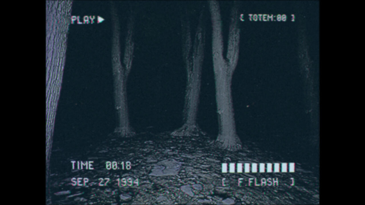 Lost Footage : Sound In The Silence screenshot 2