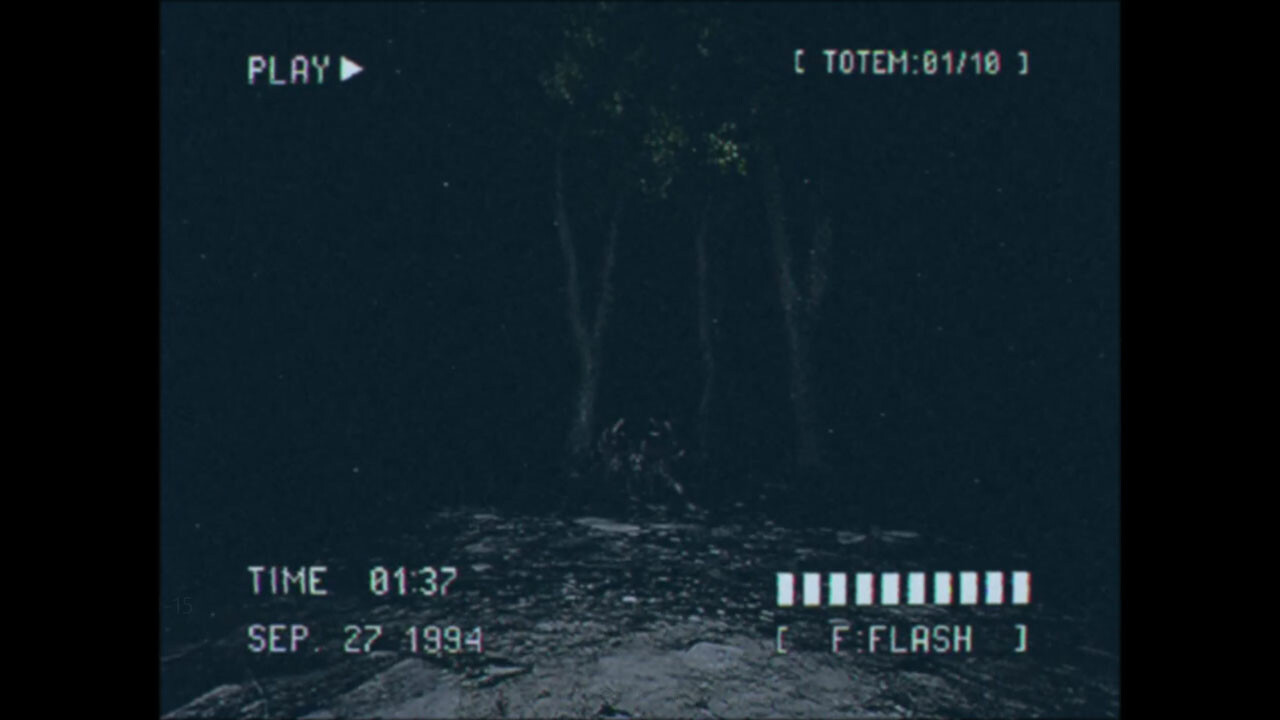 Lost Footage : Sound In The Silence screenshot 1