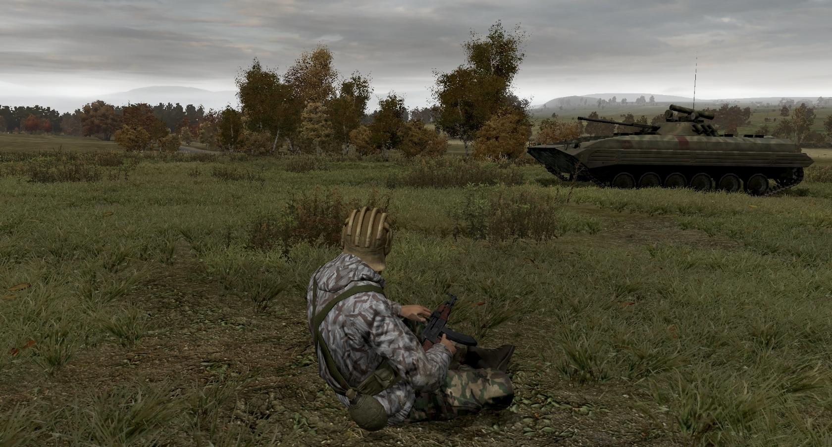 Arma 2 screenshot 18