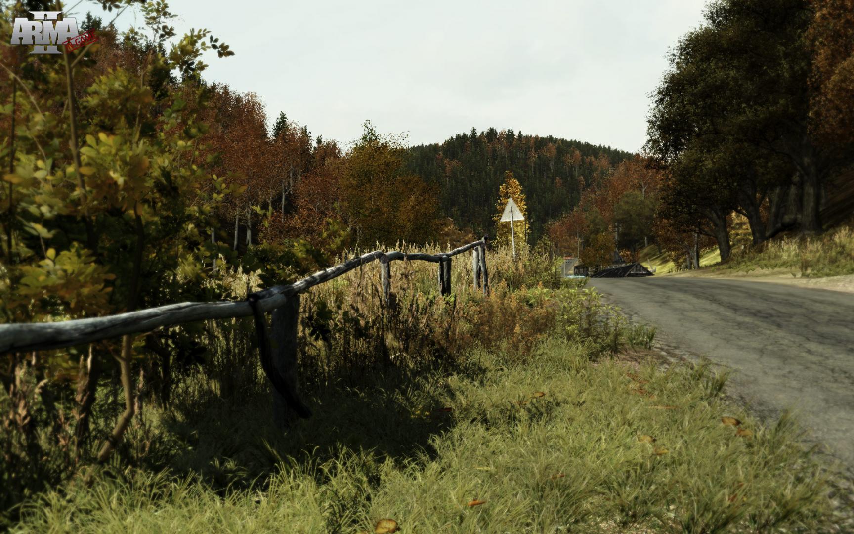 Arma 2 screenshot 13