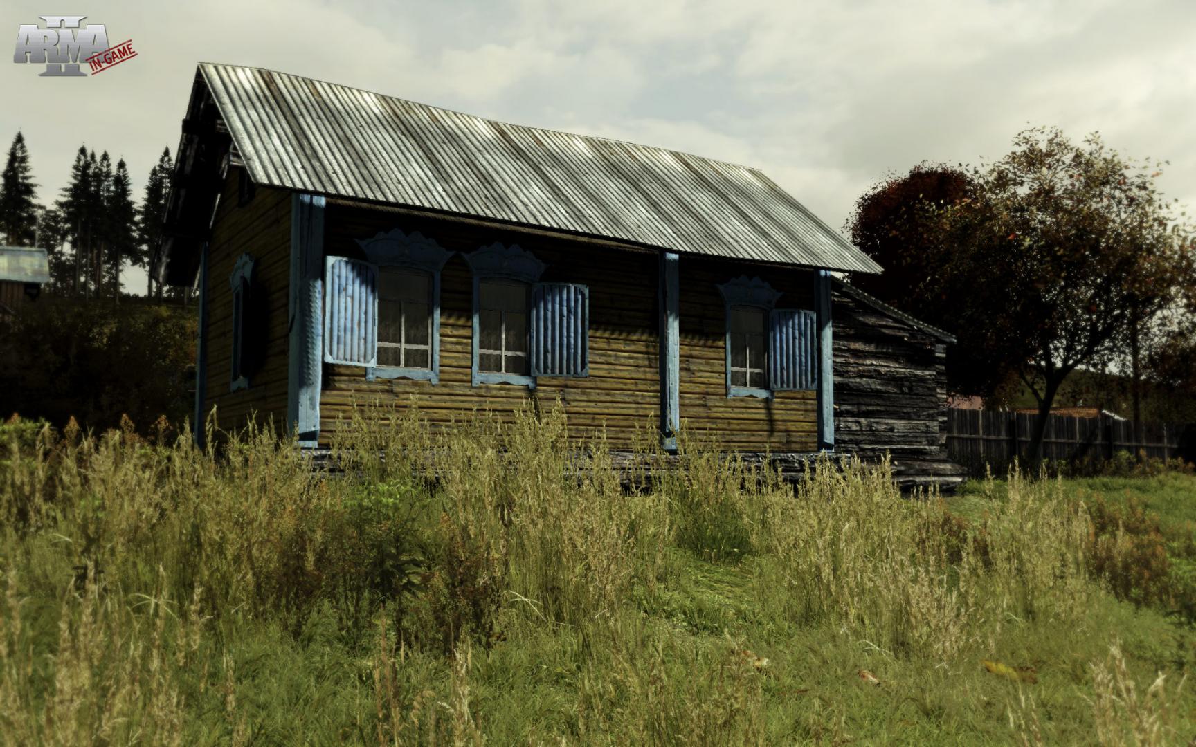 Arma 2 screenshot 15