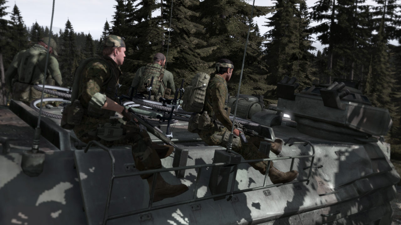 Arma 2 screenshot 1