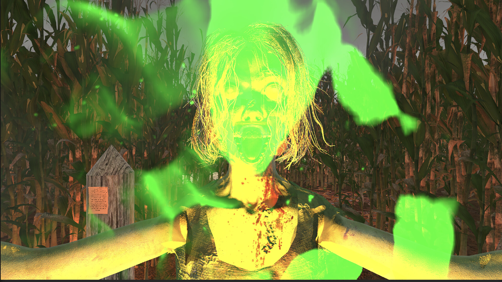 MAiZE screenshot 5