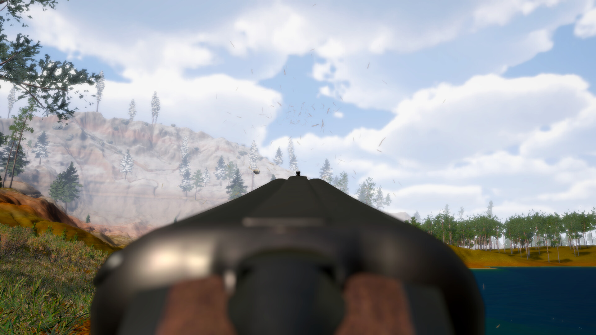 Birds Hunter screenshot 4