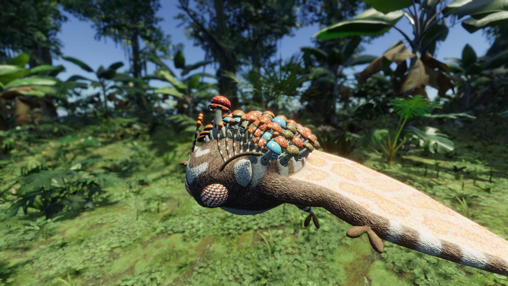 Forest Floor screenshot 7