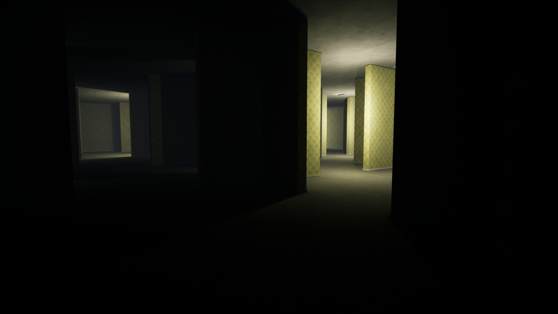 Backrooms Multi-Verses screenshot 1