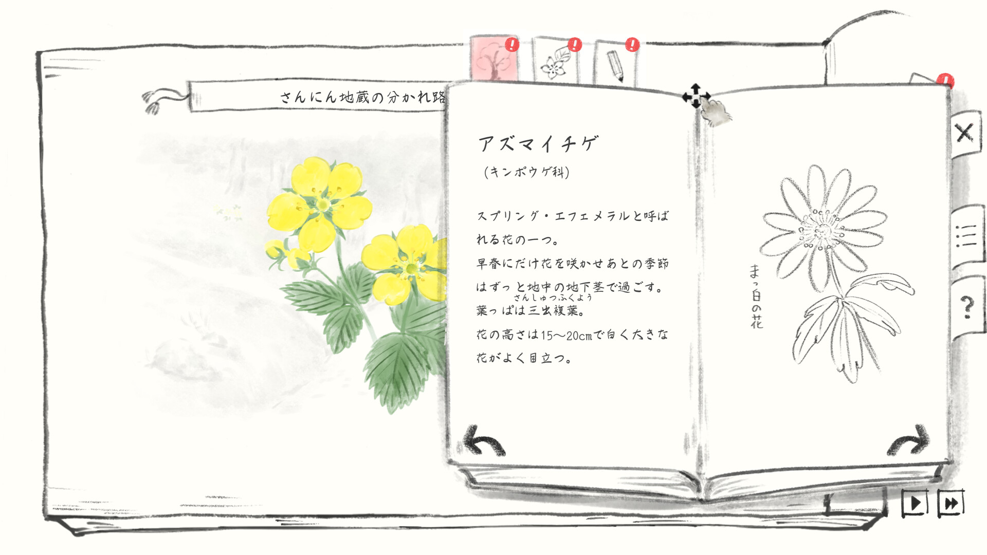 Satoyama Note: Spring Walk screenshot 15