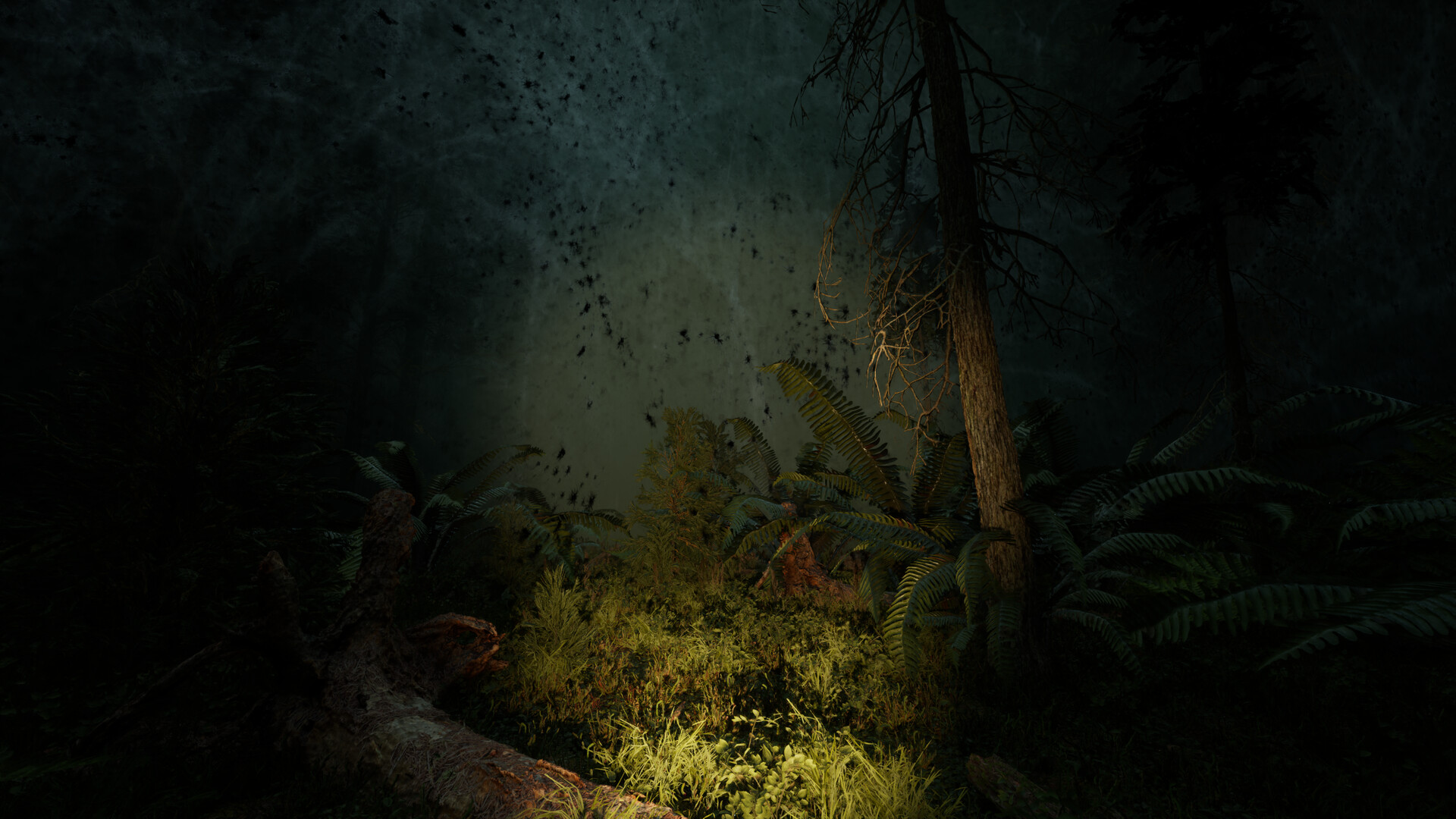Proytz screenshot 3