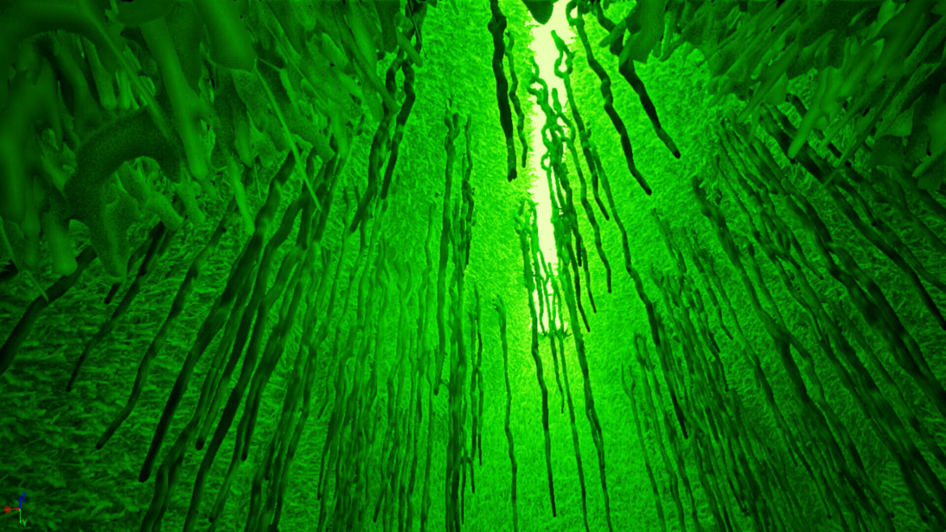 The Lost Island screenshot 20
