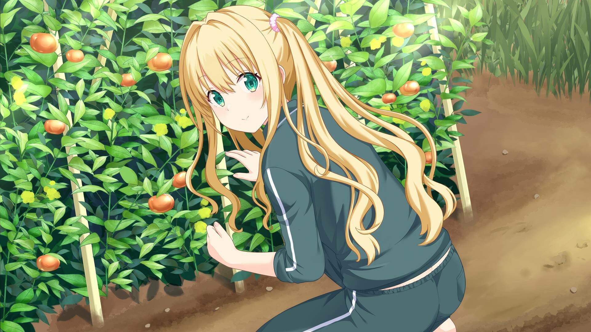 Kono Aozora ni Yakusoku o Refine screenshot 4