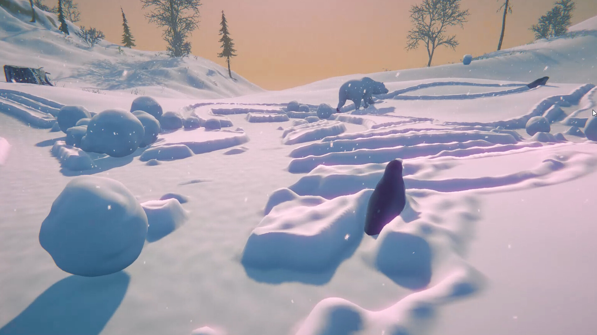 The Seal Game screenshot 2