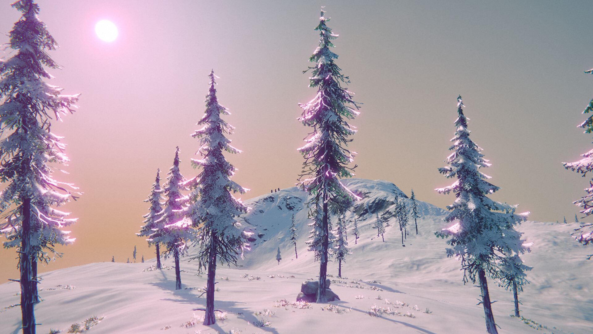 The Seal Game screenshot 4