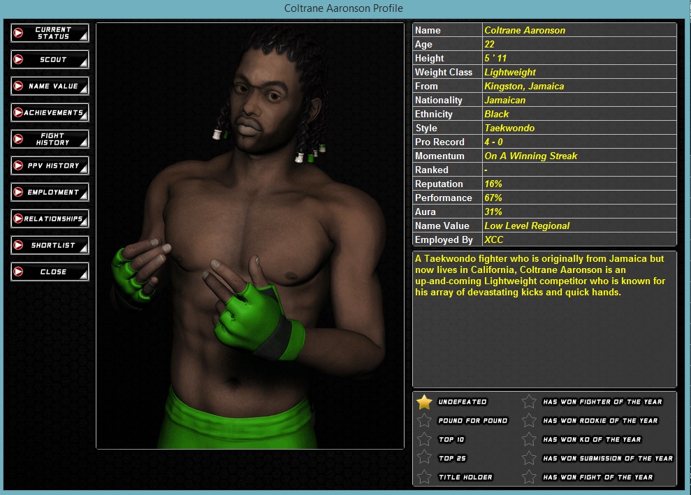 World of Mixed Martial Arts 3 screenshot 14