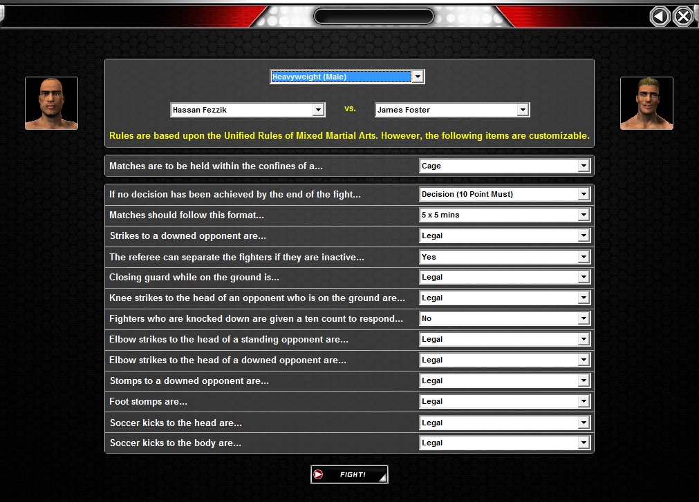 World of Mixed Martial Arts 3 screenshot 8