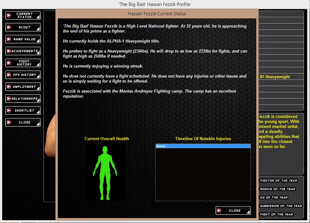 World of Mixed Martial Arts 3 screenshot 11