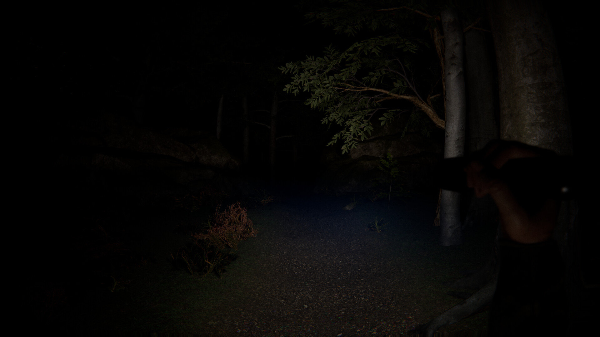 SCP Origins - Forgotten Steps screenshot 3