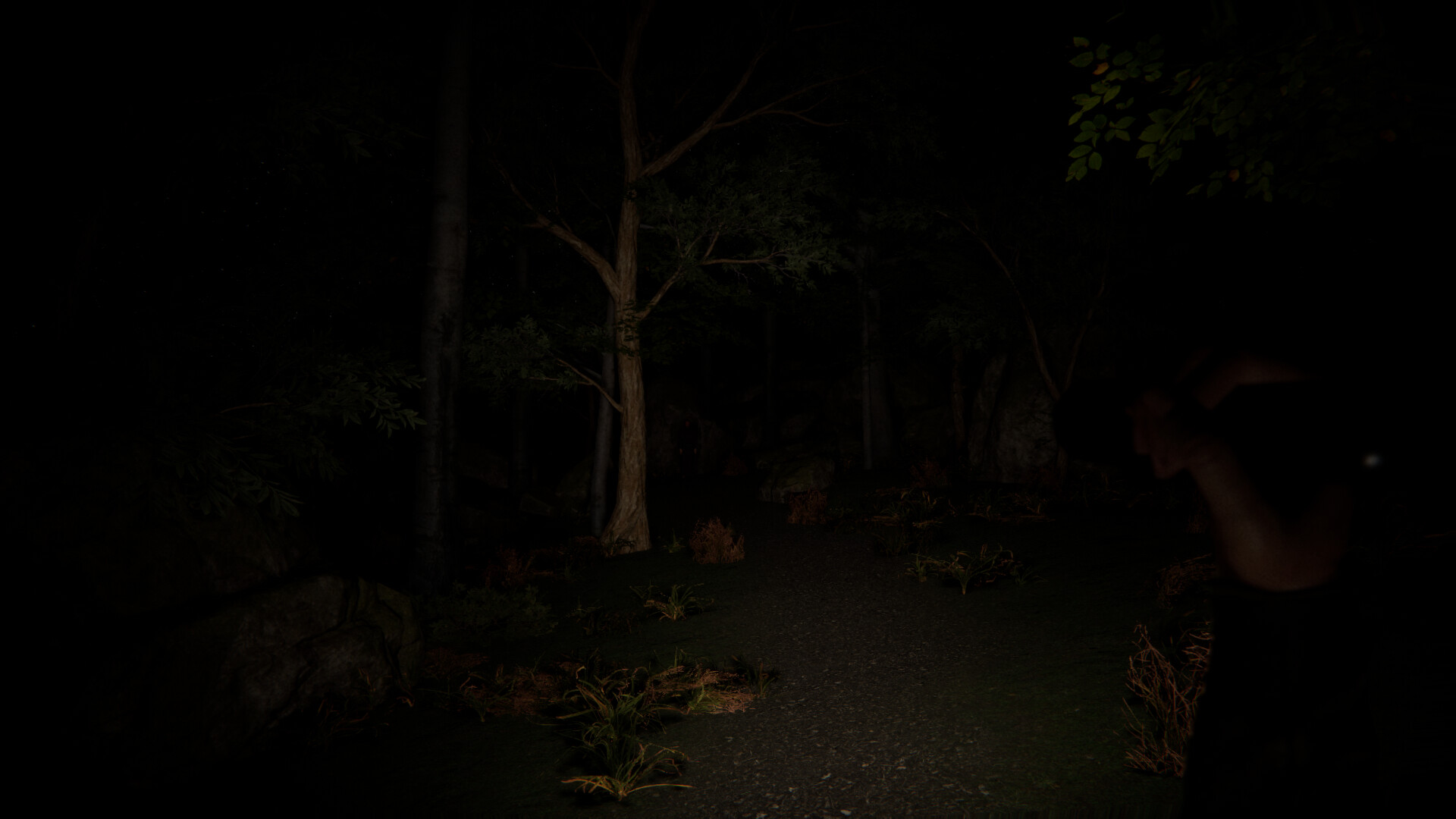 SCP Origins - Forgotten Steps screenshot 4