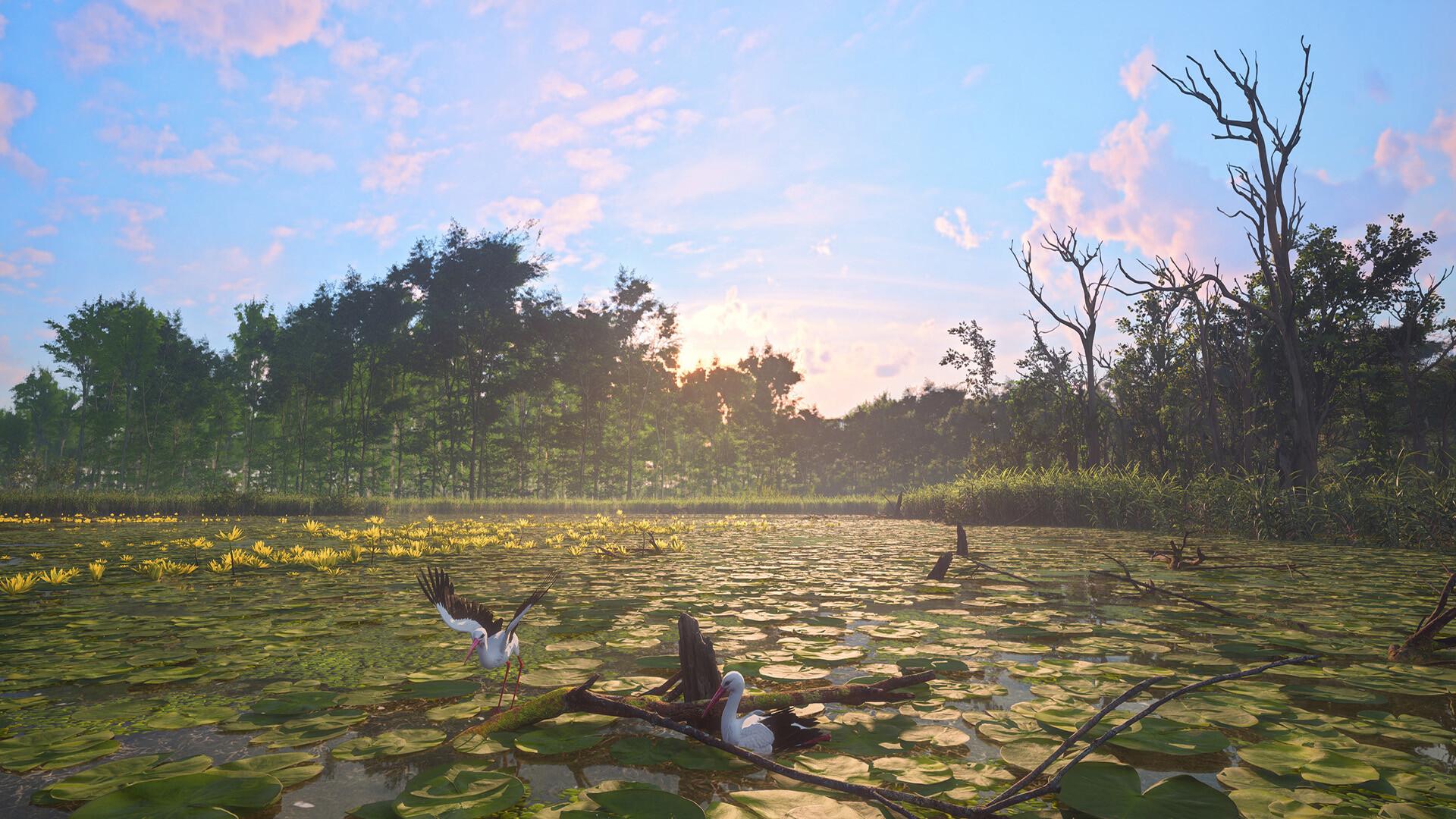 HIKE: Beyond the Trails screenshot 5