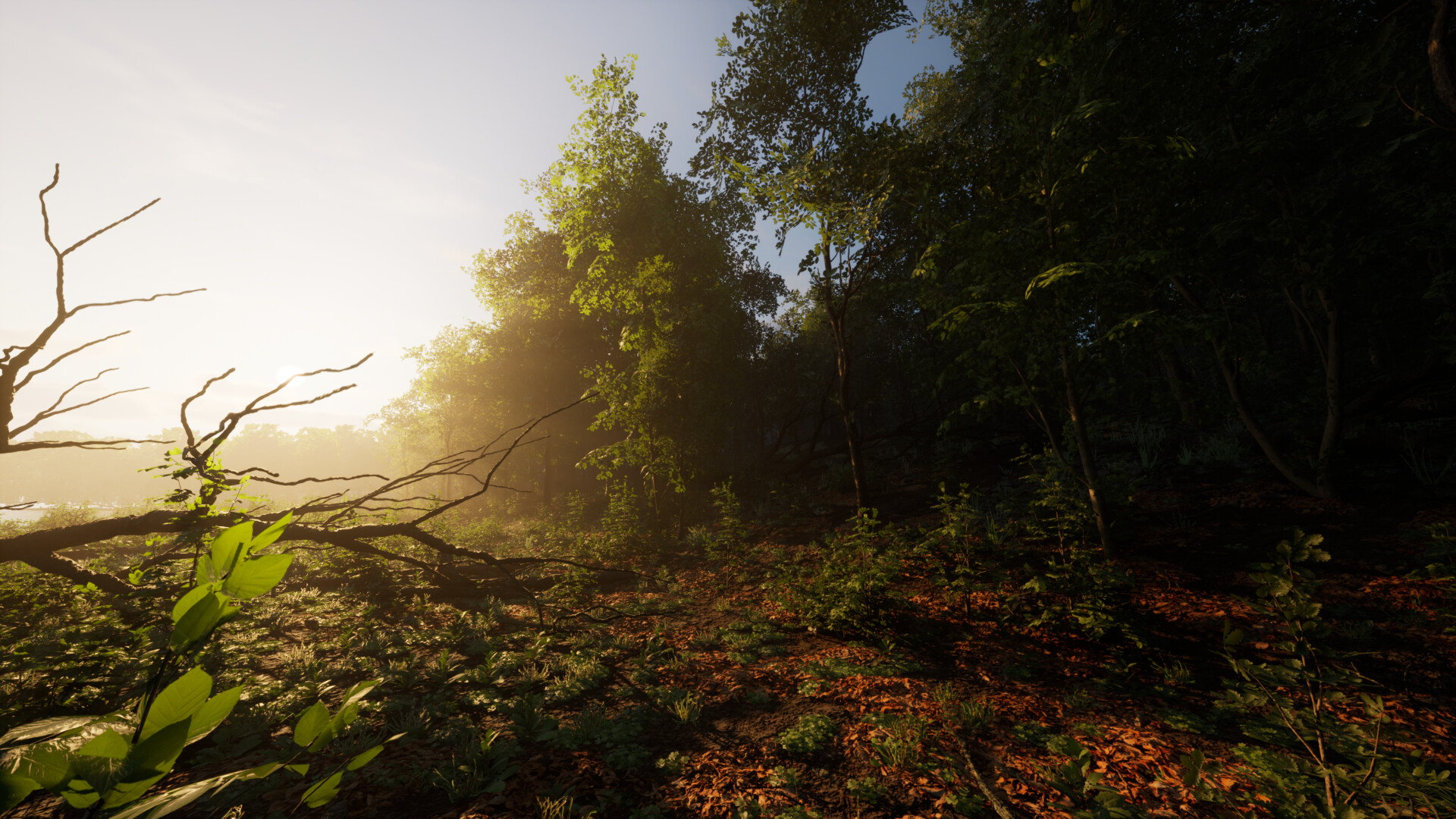 Carpathian Survival screenshot 3