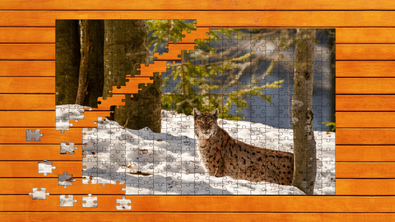 Wild Lynx Jigsaw screenshot 2