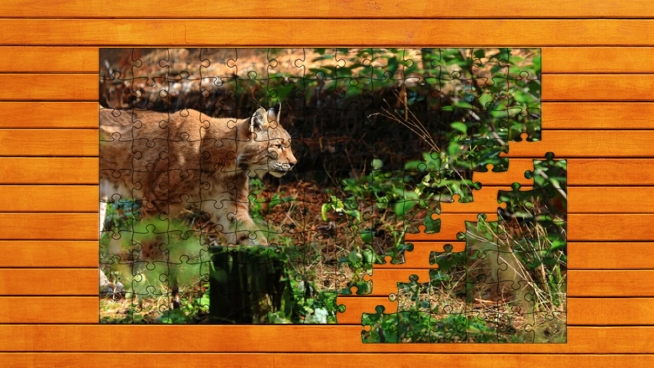 Wild Lynx Jigsaw screenshot 1