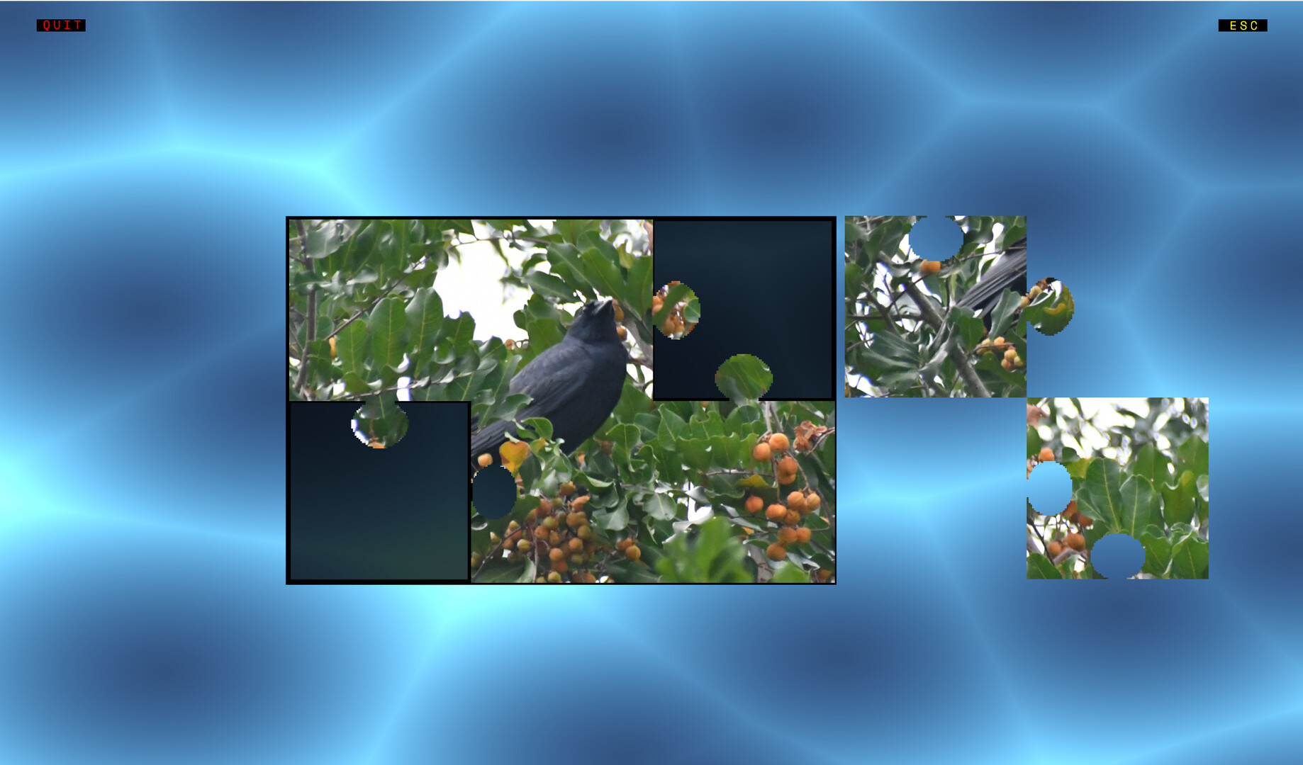 Jon's Jigsaw Puzzle screenshot 4