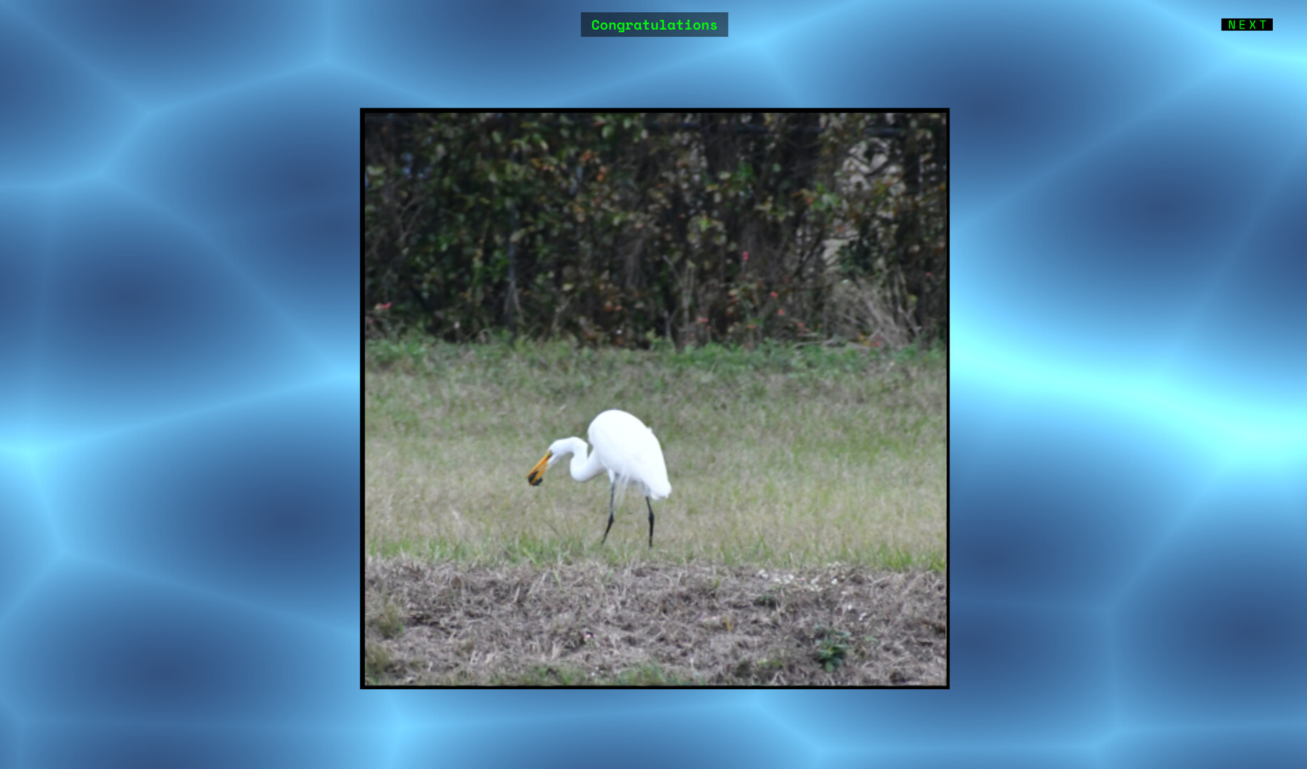 Jon's Jigsaw Puzzle screenshot 5