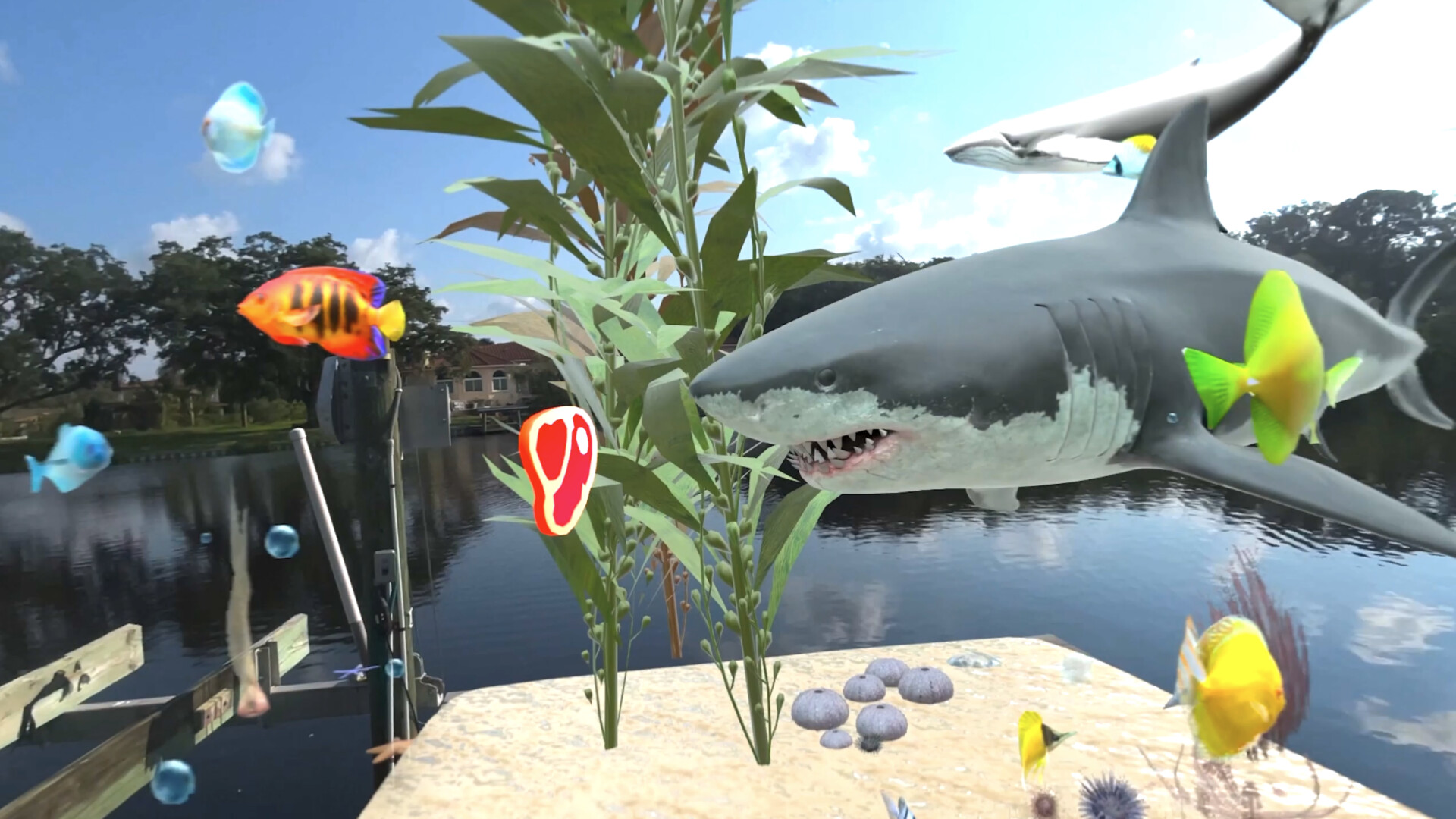 Aquarium Adventures screenshot 3